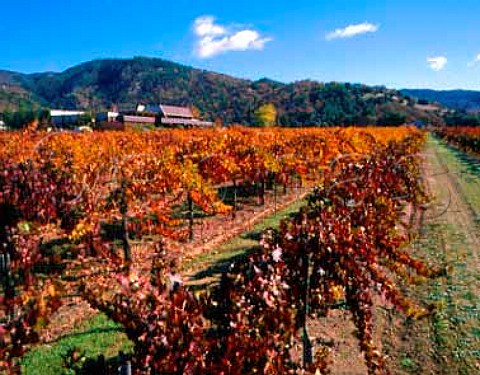 McDowell Valley Vineyards Hopland Mendocino Co   California   McDowell Valley AVA