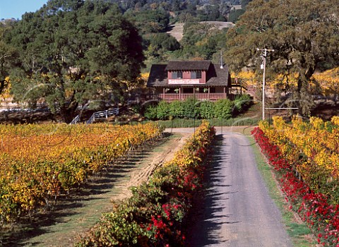 Yorkville Cellars  organic wine producers  Boonville Mendocino Co California  Anderson Valley AVA