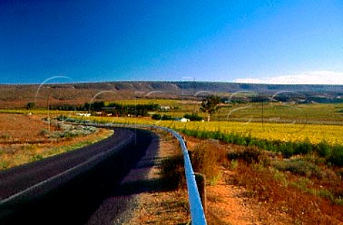 Vineyards of Vredendal Cooperative   Winery South Africa   Olifantsrivier WO