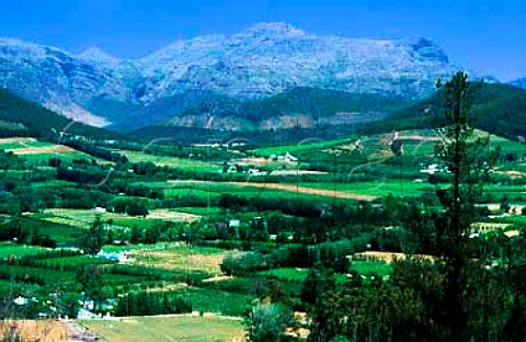 View from the pass over vineyards in the   Franschhoek Valley Franschhoek South   Africa    Paarl