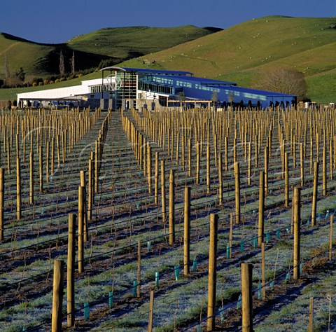 Winery and new vineyard of Sileni Estates   Hastings New Zealand   Hawkes Bay