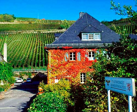 The Staatsweingut with the Hllenberg vineyard   beyond Assmannshausen Germany   Rheingau