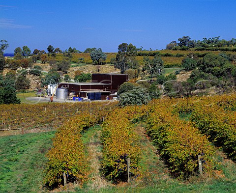 Autumnal Cabernet Sauvignon vineyard by the   Mountadam winery on the High Eden Ridge   Eden Valley South Australia  Eden Valley