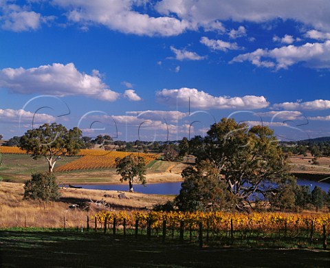 Irrigation dam in the Pewsey Vale vineyard of Yalumba Eden Valley South Australia  Eden Valley