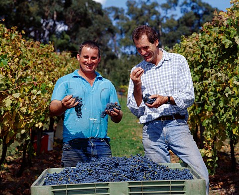 Peter Leske right winemaker and  contract grower Simon Green discuss their harvested  Cabernet Sauvignon grapes Lenswood   South Australia      Adelaide Hills