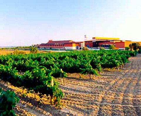 Vineyard by bodegas of Vinedos y Crianzas del Alto   Aragon Salas Bajas Aragon Spain   Somontano