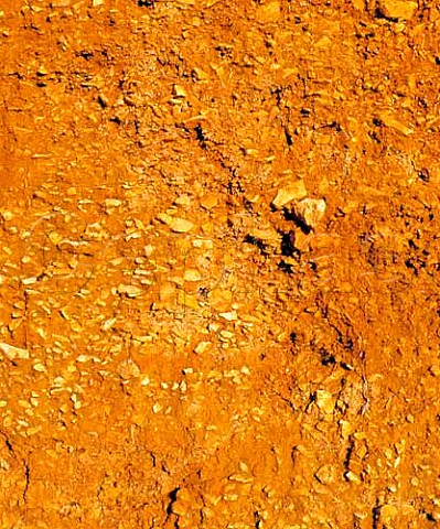Profile of the unusual soil of Mas de Daumas Gassac   Aniane Hrault France