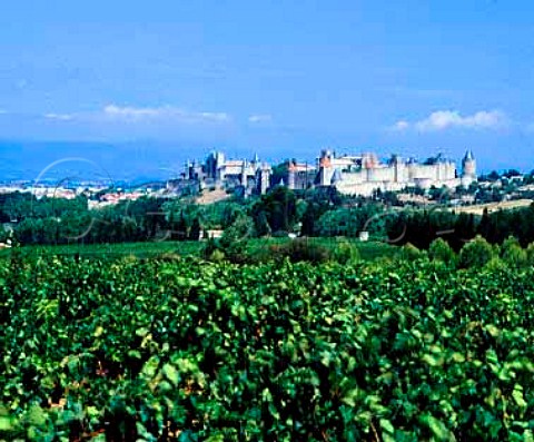 View over vineyards to La Cit the old town of   Carcassonne Aude France   AC Malepre