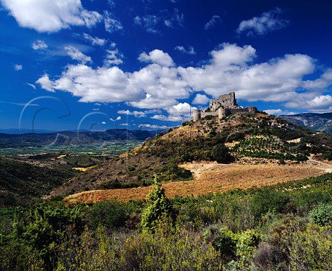 The Cathar Chteau dAguilar high above the   vineyards around Tuchan in the Verdouble valley   Aude France     Fitou  Corbires
