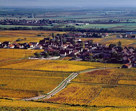 Autumn view over VosneRomane from above La Tche   vineyard  also including to the left of the road   RomaneStVivant and part of RomaneConti    Cte dOr France      Cte de Nuits