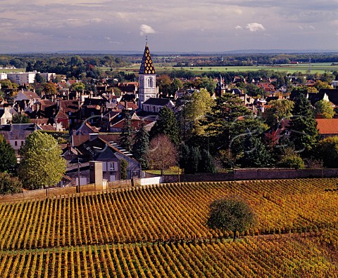 View eastwards over NuitsStGeorges and autumnal   vineyard Cte dOr France   Cte de Nuits