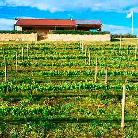 Vineyard and winery of Cape Jaffa Wines   Cape Jaffa South Australia  Mount Benson