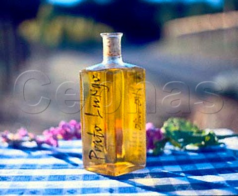 Bottle of Prato Lungo olive oil from Long Meadow  Ranch St Helena Napa Valley California