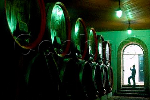 Worker tasting wine from barrel in the   cellars of Mastroberardino   Atripaldi Campania Italy
