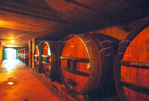 Barrel cellar of Vriesenhof   Stellenbosch South Africa