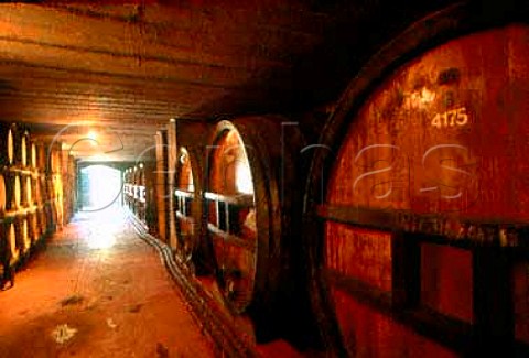 Barrel cellar of Vriesenhof   Stellenbosch South Africa