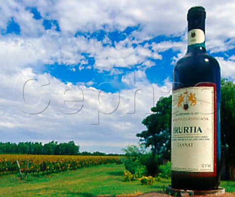 Large bottle advertising Vitivinicolas Dante Irurtia   by their Pinot Noir vineyard   Carmelo Colonia Uruguay