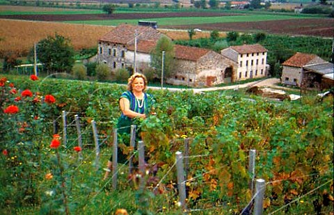 Franca Maculan in one of her vineyards   Breganze Veneto Italy   Breganze