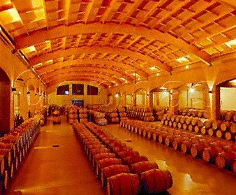Barrel cellar of Via Selentia Angostura   Chile       Colchagua  Rapel
