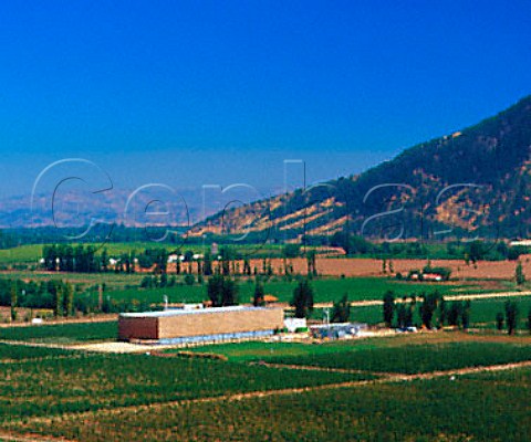 Vineyards and winery of Vios Neuvo Mondo at Apalta   in the Colchagua Valley Chile          Rapel