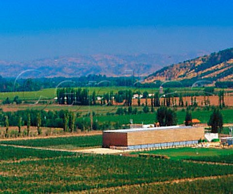 Vineyards and winery of Vios Neuvo Mondo at Apalta   in the Colchagua Valley Chile          Rapel