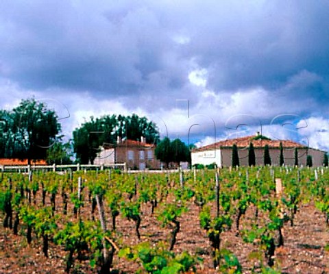 Chteau MoulinVent and its vineyard Bouqueyran Gironde France    MoulisenMdoc  Bordeaux