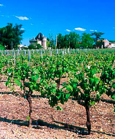 Chteau du Seuil and its vineyard Crons   Gironde France      Crons  Bordeaux