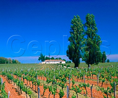 Chteau de Bellevue and its vineyard Lussac Gironde France  LussacStmilion  Bordeaux