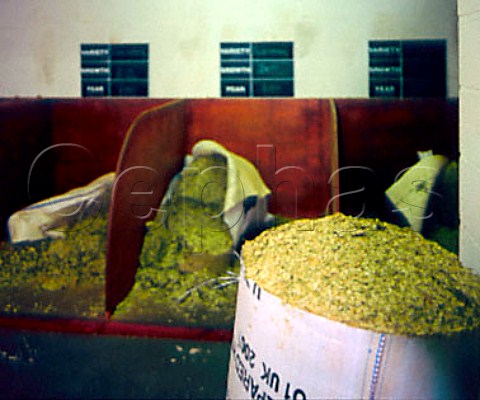 Various kinds of hops at Jennings Brothers Castle   Brewery  Cockermouth Cumbria England