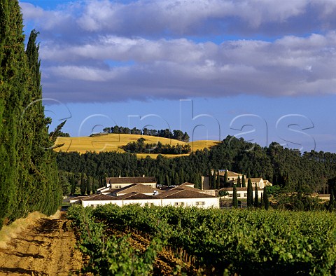 Vineyard at Bodegas Seorio de Sarra near Puente la   Reina Spain  Navarra