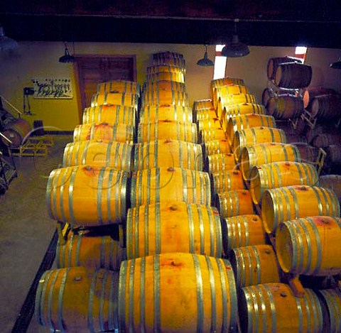 Barrel cellar of Ponzi Vineyards   Beaverton Oregon USA    Willamette Valley