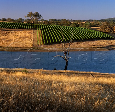 Irrigation dam in Pewsey Vale Vineyard of Yalumba   Eden Valley South Australia