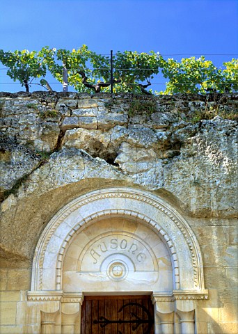Vines showing the limestone subsoil growing above entrance to the cellar of Chteau Ausone Stmilion Gironde France  Stmilion  Bordeaux