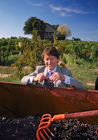 Wine writer Steven Spurrier examines   harvested Merlot grapes at Chteau   Le Pin Pomerol Gironde France   Pomerol  Bordeaux