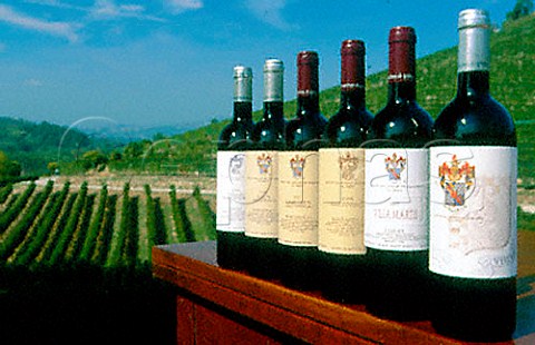Wines of Tenute Cisa Asinari dei   Marchesi di Gresy Barbaresco Piemonte   Italy