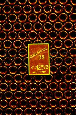 Bottles of Macchiona 50 Barbera   50 Bonarda ageing in the cellars of   La Stoppa Ancarano di Rivargaro   Emilia Romagna Italy Colli Piacentini