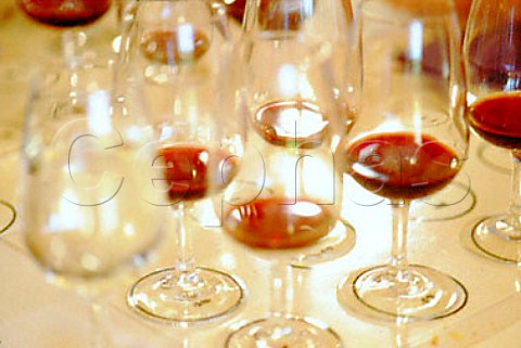 Wine glasses for a tasting at     Grangehurst Stellenbosch South Africa