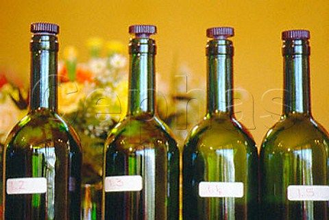 Bottles of wine for blind tasting at   Grangehurst Stellenbosch South Africa