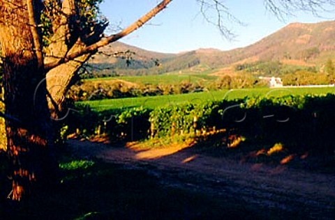 Cape Dutch manor house and vineyard   of Groot Constantia Constantia   South Africa