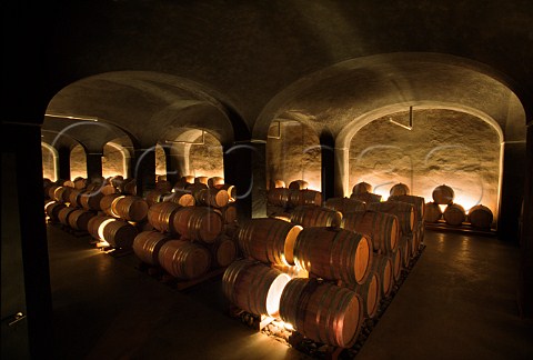 New barrel cellar at Foradori winery   Mezzolombardo Trentino Italy
