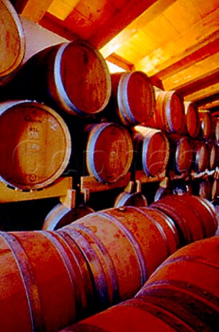 Barrel cellar of Forteto della Luja   Loazzolo Piemonte Italy