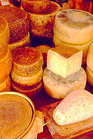 Cheeses made from ewes milk on sale in   Nrcia Umbria Italy