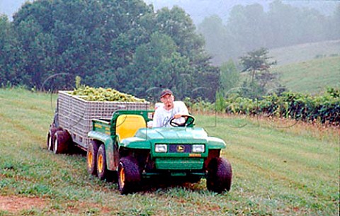 Trailer of harvested Chardonnay grapes   at Blackstock Vineyard near Dahlonega   Georgia USA