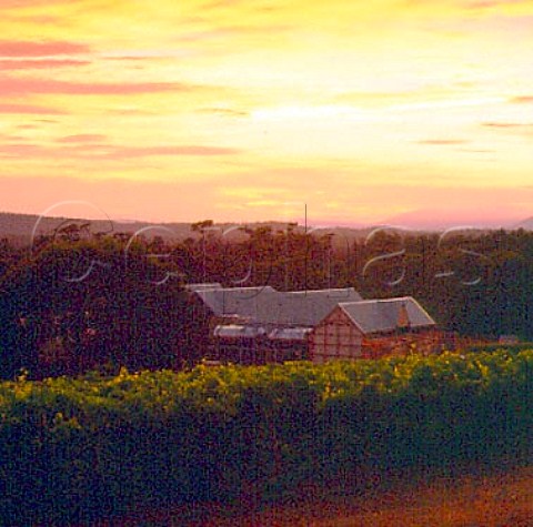 Sunrise over Pipers Brook winery and vineyard   Pipers Brook Tasmania Australia      Pipers River