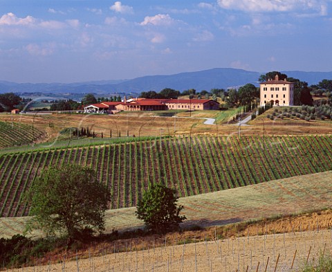 Fattoria del Cerro viewed over their Vigneto Grazianella Near Argiano Tuscany Italy  Vino Nobile di Montepulciano
