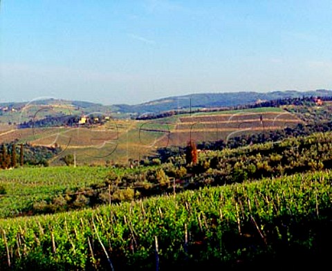 Castello dei Rampolla and its vineyards viewed from   vineyard of Fontodi Panzano in Chianti Tuscany   Italy    Chianti Classico