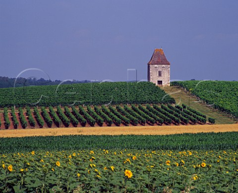 Tower in vineyards near StAstierdeDuras  LotetGaronne France  Ctes de Duras