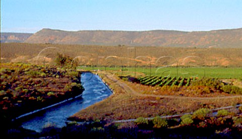 Irrigation canal by vineyards in the   valley of the Olifants River South   Africa   Olifantsrivier