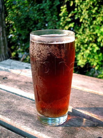 Pint glass of Suffolk beer in beer garden England