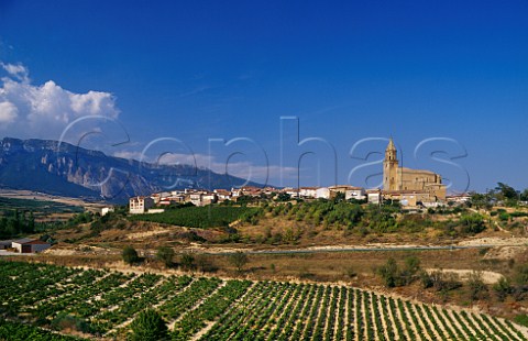 Vineyard below the village of Elvillar with the Sierra de Cantabria in distance Alava Spain Rioja Alavesa